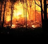 Fire/Crisis Media Revolution/Photo copyright iStockphoto